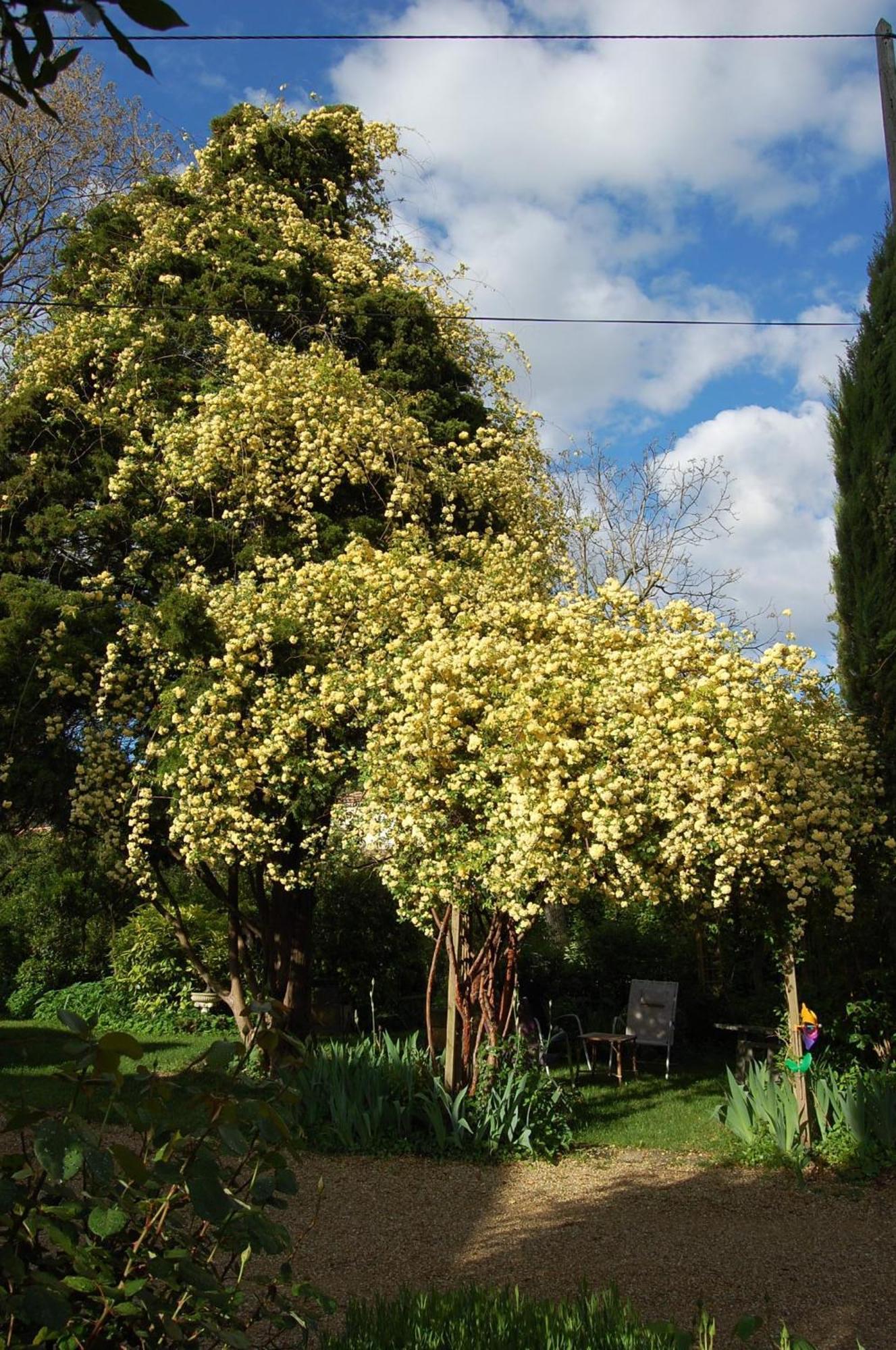 Le Mas Des Clots Bed & Breakfast Upie Bagian luar foto